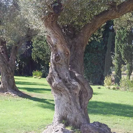 Domaine Du Grand Malherbes 3* Aigues-Mortes