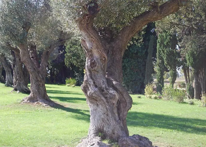 Domaine Du Grand Malherbes 3* Aimargues